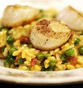 VG: Sint-jakobsoester met risotto en truffel