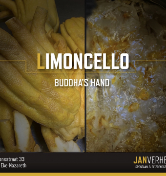 Limoncello Buddha`s Hand by Jan Verhelst 