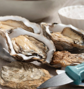 Oesters natuur