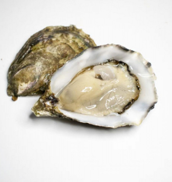 6 oesters