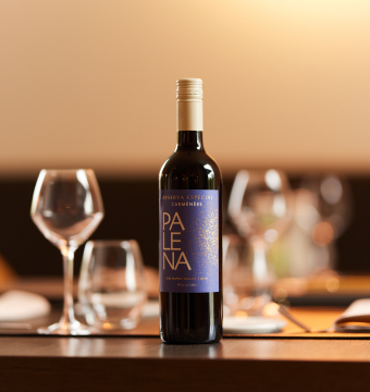 Palena Carmenere Reserva Chili Rood
