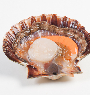 Gevulde Sint-jacobsschelp