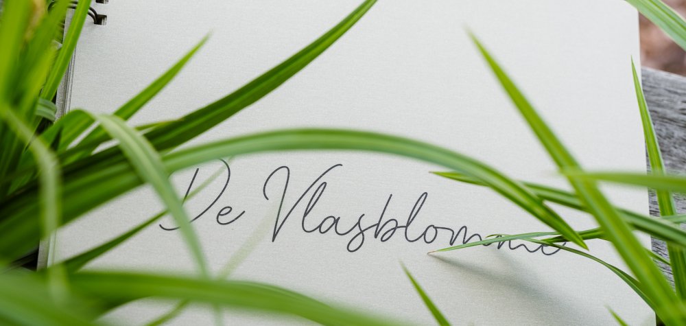 Vlasblomme
