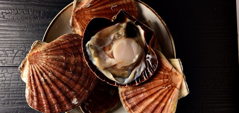 Brasserie Juste
